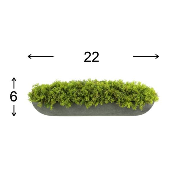 Green Moss Arrangement - Image 4