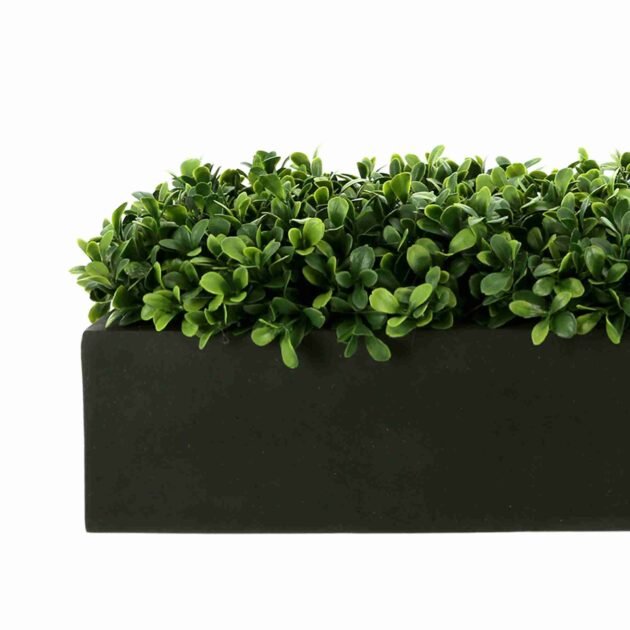 Green Boxwood Arranged in Fiberstone Planter - Image 5