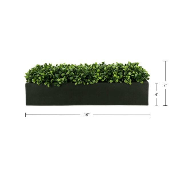 Green Boxwood Arranged in Fiberstone Planter - Image 4