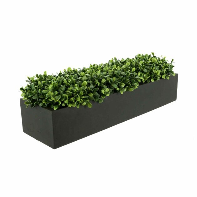 Green Boxwood Arranged in Fiberstone Planter - Image 2