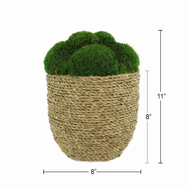 Green Moss Arranged in Straw grass Pot - Image 5