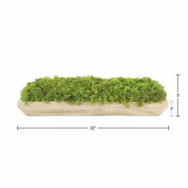 Faux Moss Arrangement in Wood Dough Bowl - Image 6
