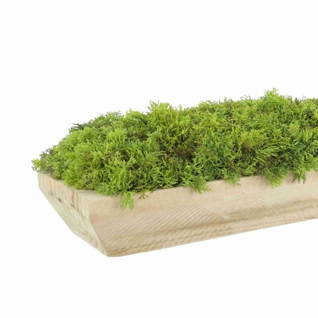Faux Moss Arrangement in Wood Dough Bowl - Image 5