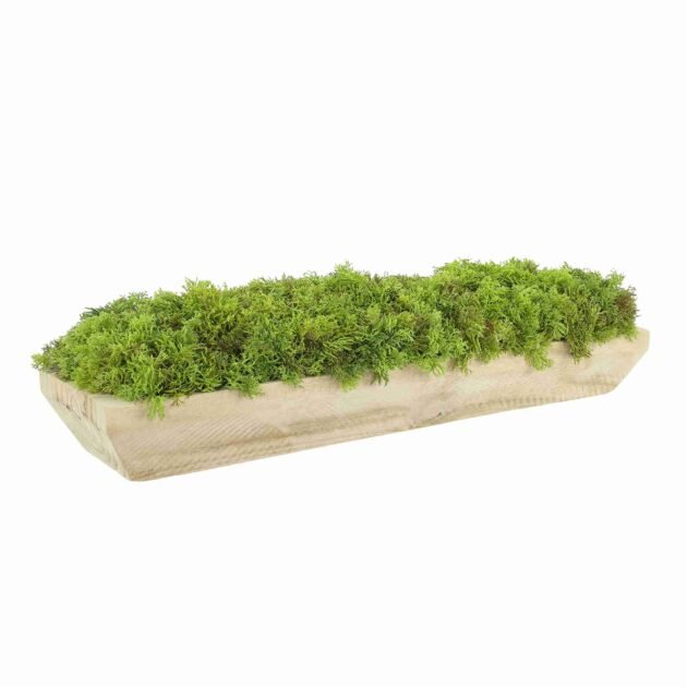 Faux Moss Arrangement in Wood Dough Bowl - Image 4