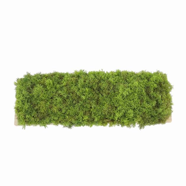 Faux Moss Arrangement in Wood Dough Bowl - Image 3