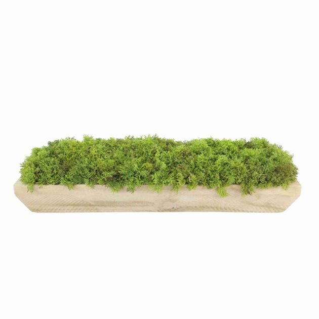 Faux Moss Arrangement in Wood Dough Bowl