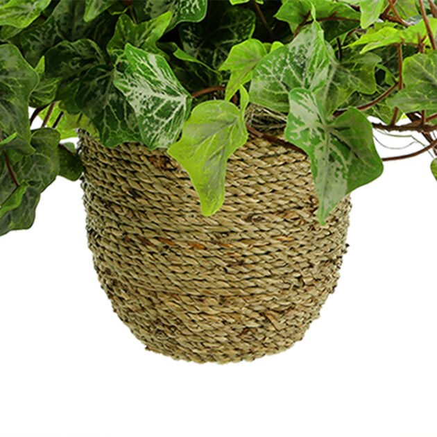 Ivy Arrangement in Straw Grass Pot - Image 4