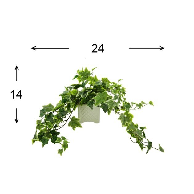 Green Ivy Arrangement in Square Ceramic Pot - Image 3