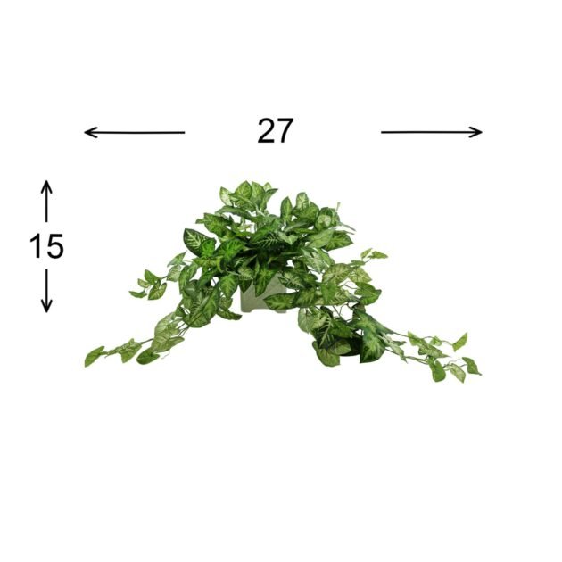 Green Nepth Plant in Ceramic Pot - Image 5