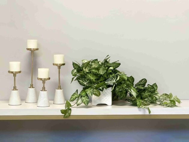 Green Nepth Plant in Ceramic Pot - Image 3