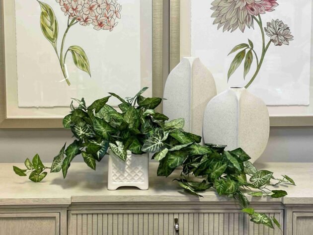 Green Nepth Plant in Ceramic Pot - Image 4