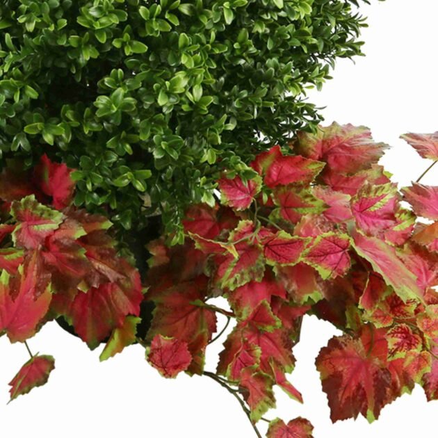 Green Boxwood Topiary Drop-In With Red Ivy - Image 4
