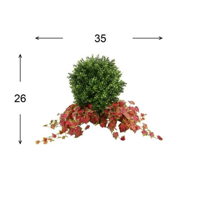 Green Boxwood Topiary Drop-In With Red Ivy - Image 2