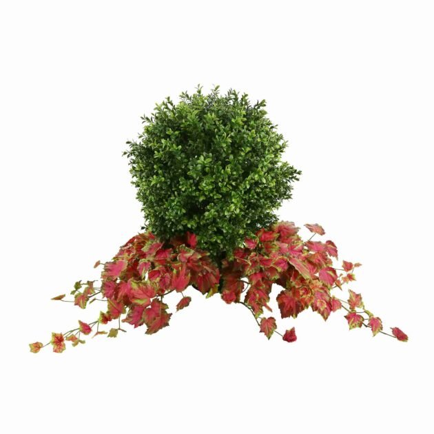 Green Boxwood Topiary Drop-In With Red Ivy