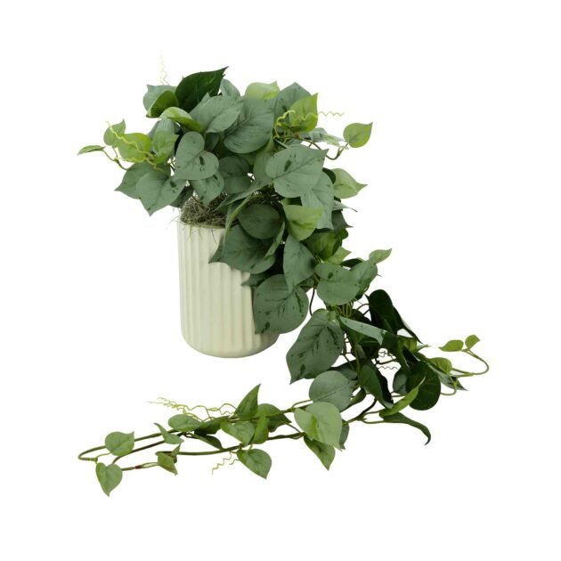 Frosted Green Ivy in Ceramic Vase