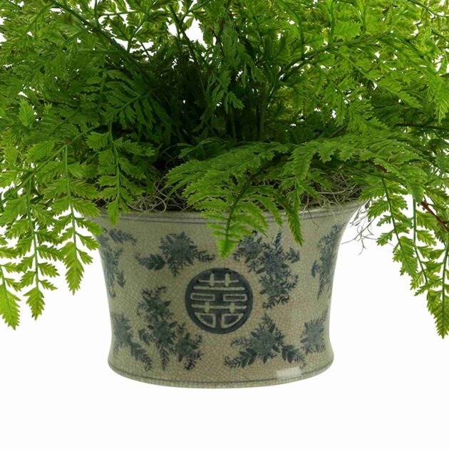 Green Fern in Decorative Pot - Image 4
