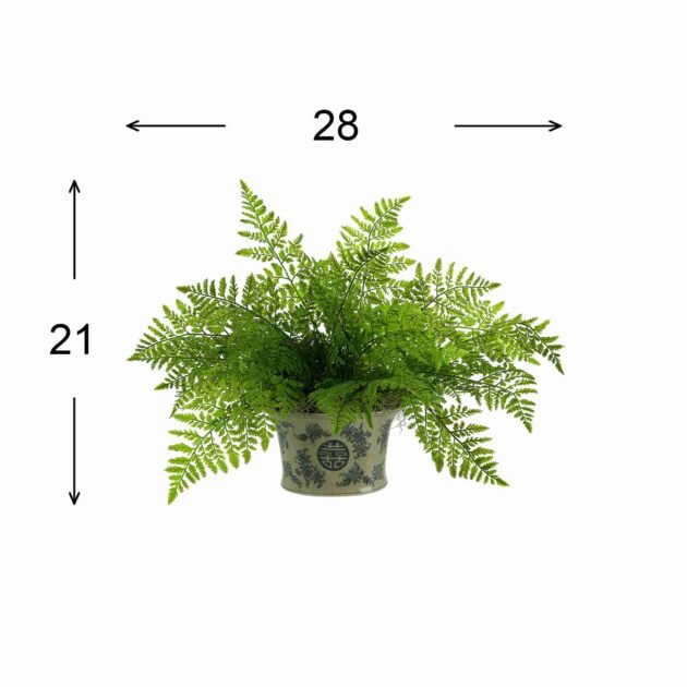 Green Fern in Decorative Pot - Image 2