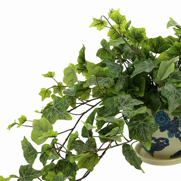 Green Ivy in Decorative Pot - Image 4
