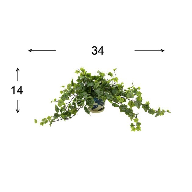 Green Ivy in Decorative Pot - Image 3