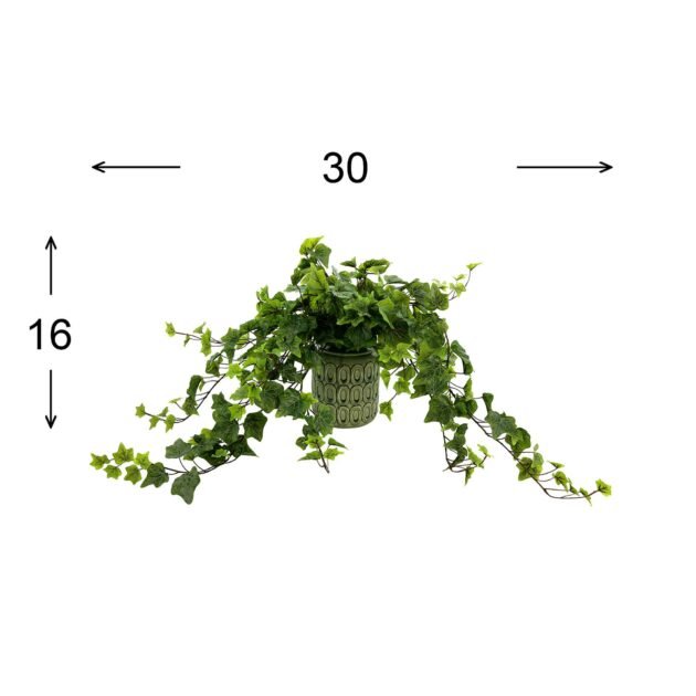 Green Ivy Arrangement in Ceramic Pot - Image 3