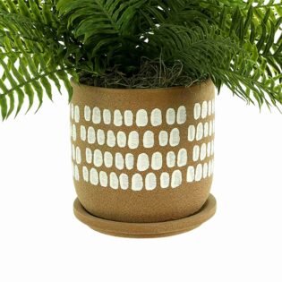Green Ferns in Decorative Pot - Image 4