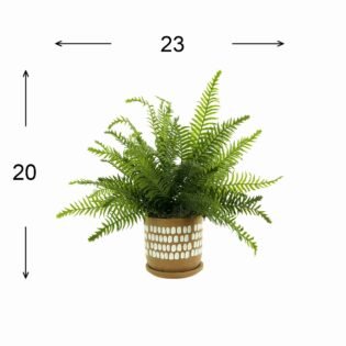 Green Ferns in Decorative Pot - Image 3