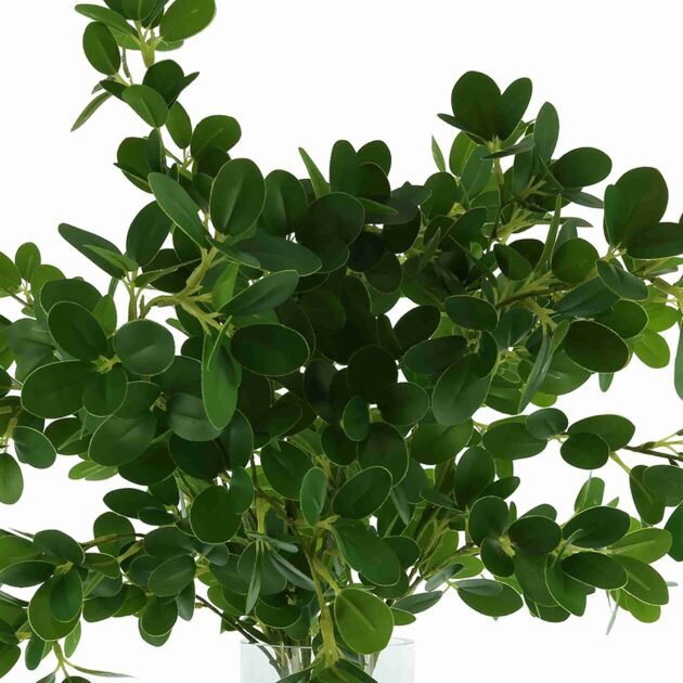 Organic Modern Boxwood Spray Arrangement - Image 2