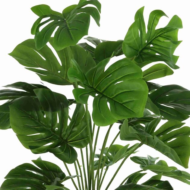 Split Leaf Philo Arrangement - Image 4