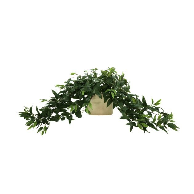 Ruscus Arrangement in Ceramic Pot