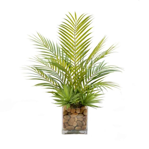 Palm Leaf & Cactus Plant - Image 4