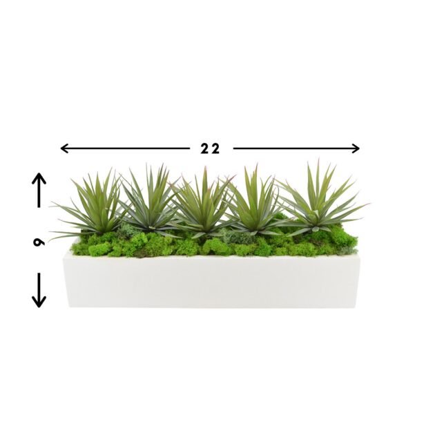 Spiked Cactus Arrangement in Rectangular Planter - Image 2