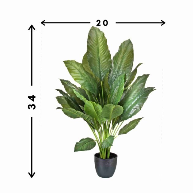 UV Rated Outdoor 34" Spathiphyllum Planter Drop-In - Image 3