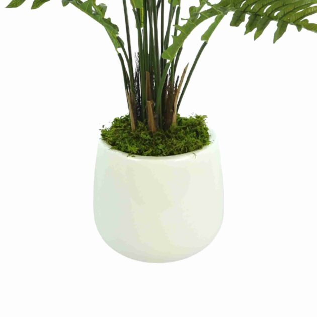 Fern Plant in Round Fiberstone Pot - Image 4