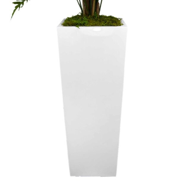 Fern Plant in Tall Fiberstone Planter - Image 4