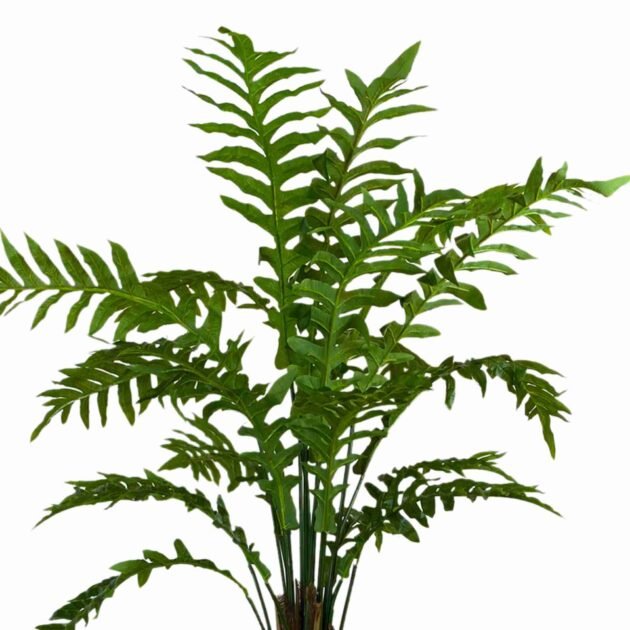 Fern Plant in Tall Fiberstone Planter - Image 3