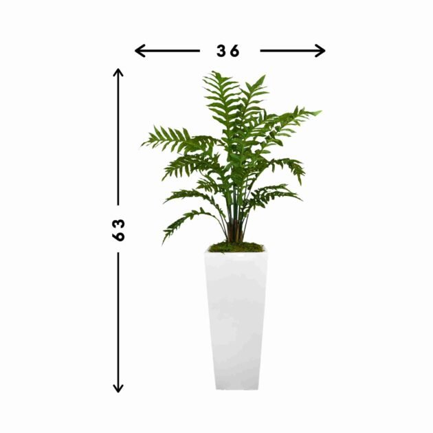Fern Plant in Tall Fiberstone Planter - Image 2