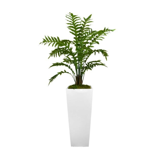 Fern Plant in Tall Fiberstone Planter