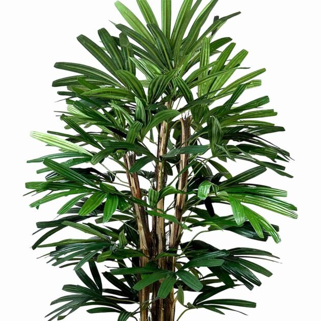 5.5' Raphis Tree in Gray Fiberstone Pot - Image 4