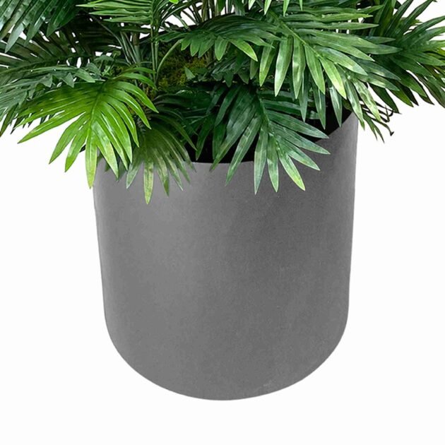 Areca Palm Bush in Gray Fiberstone Planter - Image 4