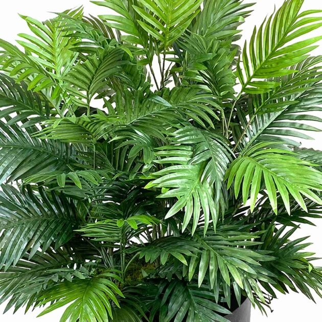 Areca Palm Bush in Gray Fiberstone Planter - Image 3