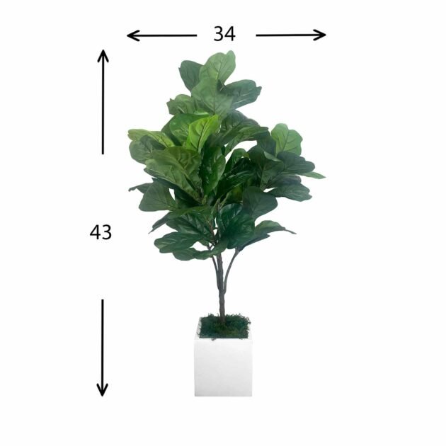 Fiddle Leaf Tree in Square Fiberstone Pot - Image 2