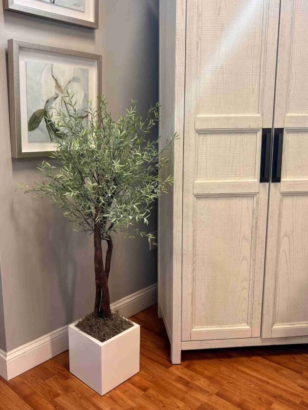 Myrtle Tree in Square Fiberstone Pot - Image 2