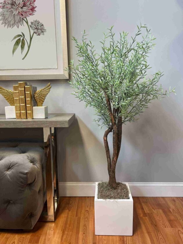Myrtle Tree in Square Fiberstone Pot - Image 3