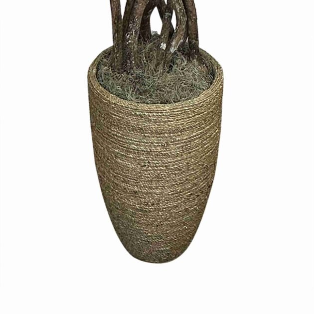 6.5' Italian Ruscus Tree in Straw Grass Wrapped Planter - Image 5