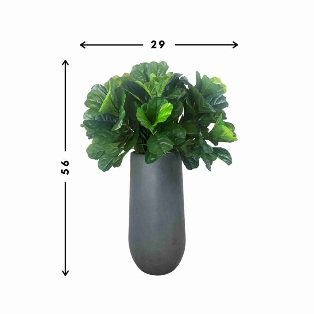 Fiddle Leaf in Gray Fiberstone Planter - Image 2