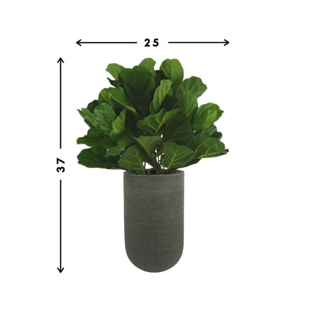 Fiddle Leaf Tree in Ribbed Fiberstone Planter - Image 2