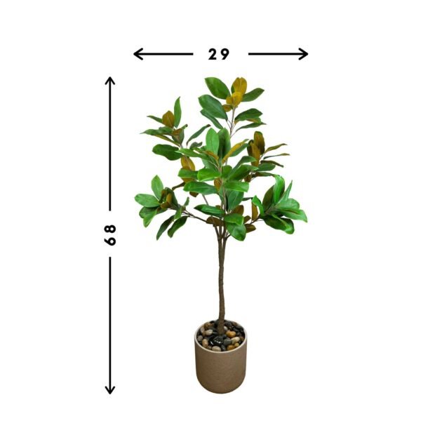 UV Rated Outdoor 5.5' Magnolia Tree in Fiberstone Pot with Rocks - Image 2