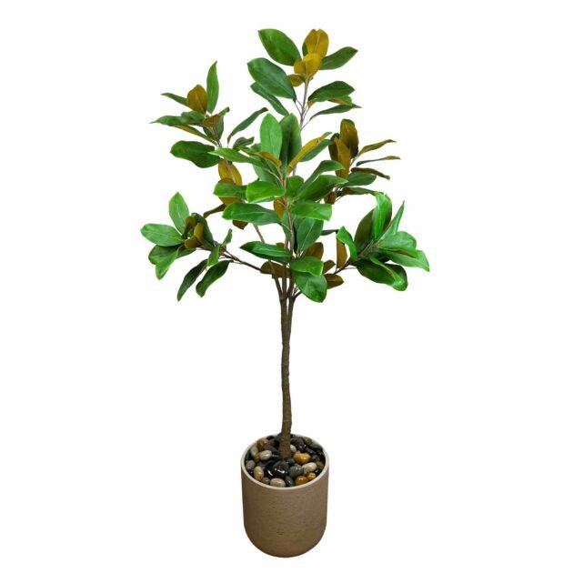 UV Rated Outdoor 5.5' Magnolia Tree in Fiberstone Pot with Rocks