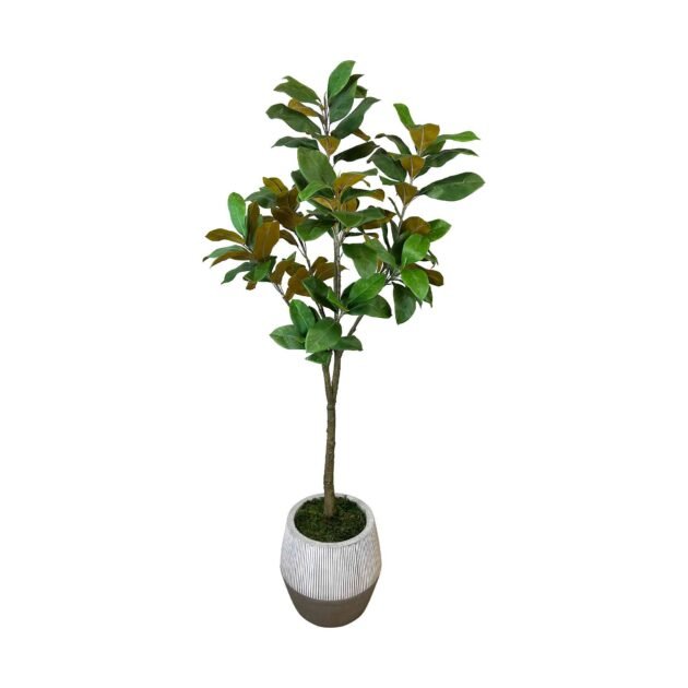 UV Rated Outdoor 5.5' Magnolia Tree in Fiberstone  Pot - Image 5