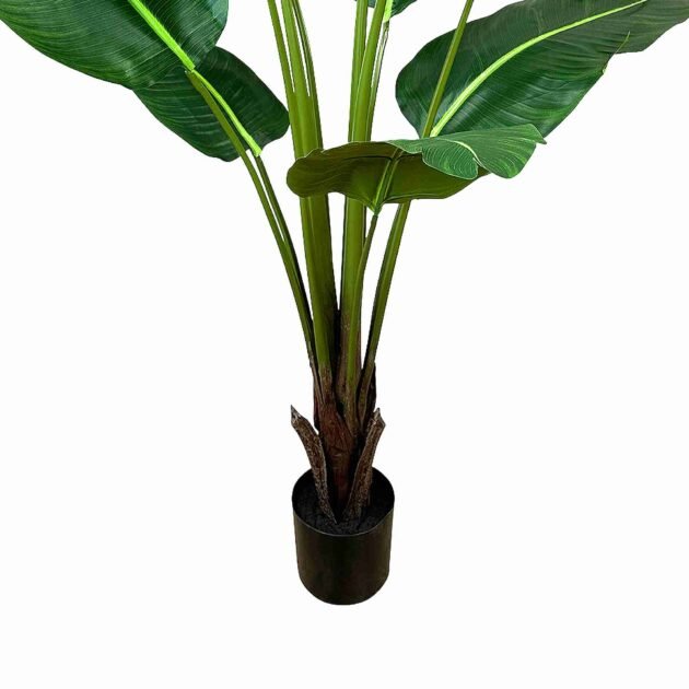 UV Rated Outdoor 5' Traveler's Palm Drop-In - Image 5